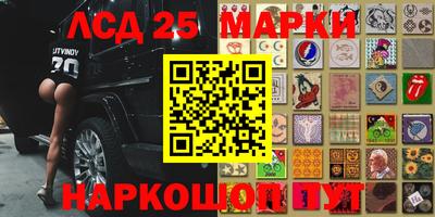 сатива Краснодар
