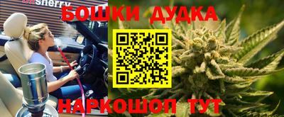 индика Краснознаменск