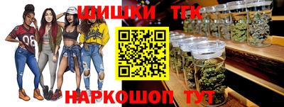 индика Краснознаменск